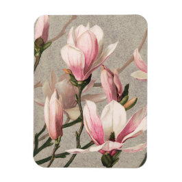 Magnolia - L. Prang & Co Magnet