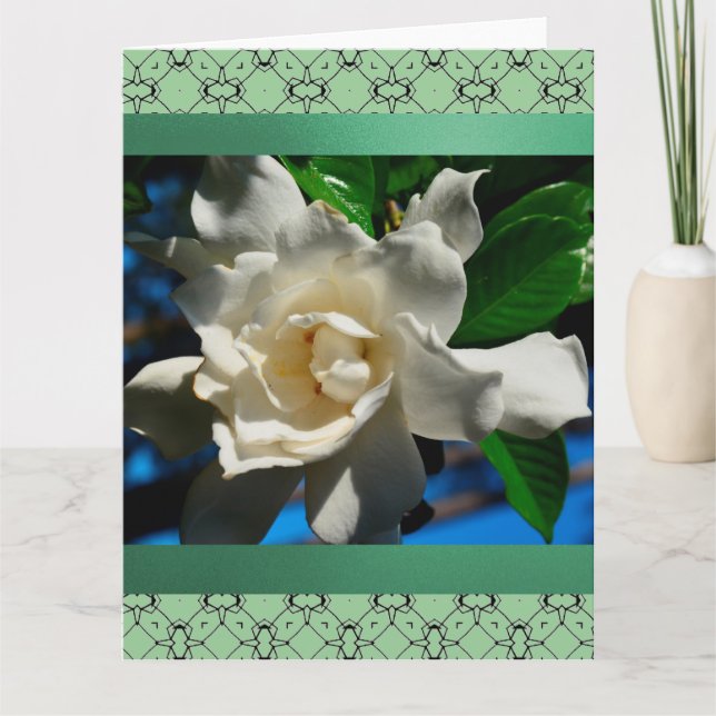 Magnolia-Light Green Design Grußkarte groß Karte (Vorderseite)