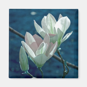 Magnolia Magnet