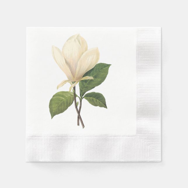 Magnolia (Magnolia soulangiana) von Redouté Serviette (Vorderseite)