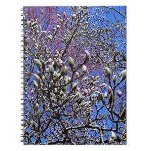 Magnolia, Masse der Buds Notizblock