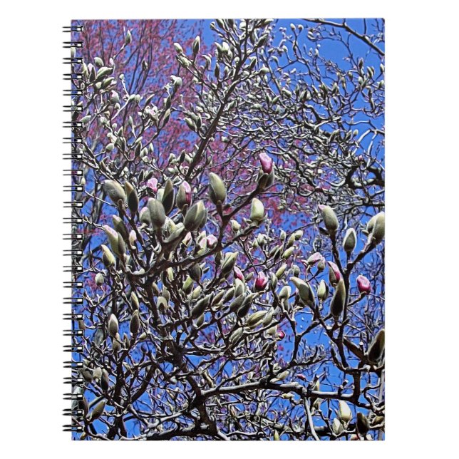 Magnolia, Masse der Buds Notizblock (Vorderseite)