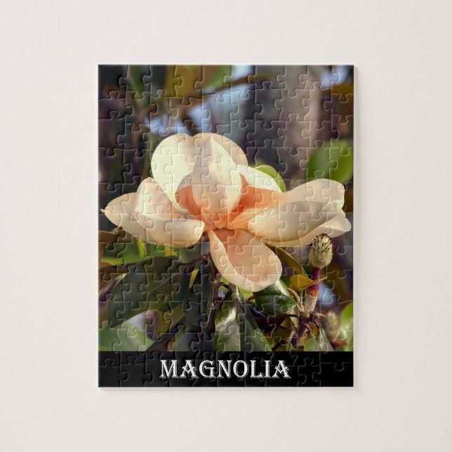 Magnolia (Mississippi und Louisiana) (Vertikal)