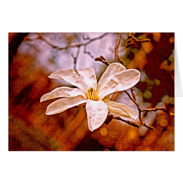 Magnolia Mood (Vorderseite (Horizontal))