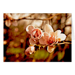 Magnolia Mood en rose