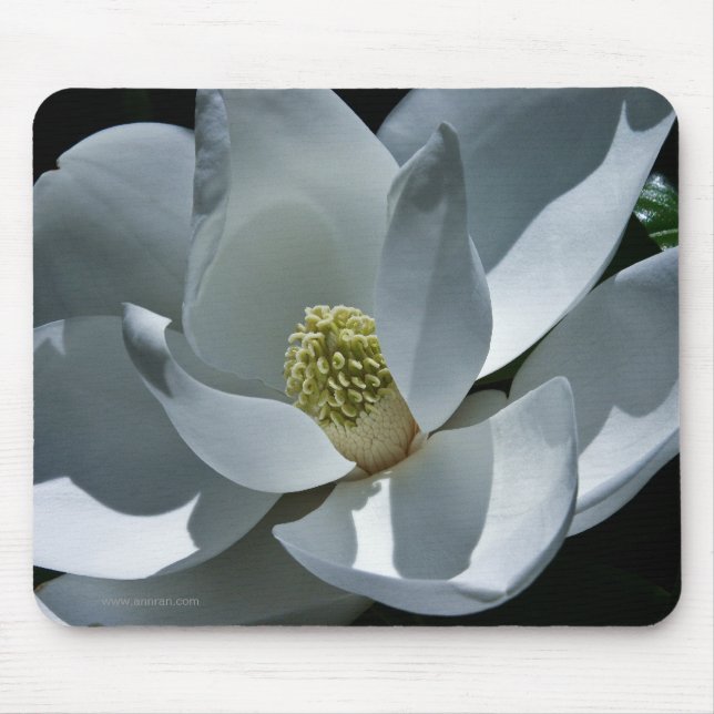Magnolia Mousepad (Vorne)