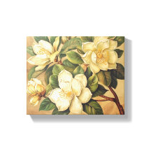 Magnolia Museo Cantonale d'Arte