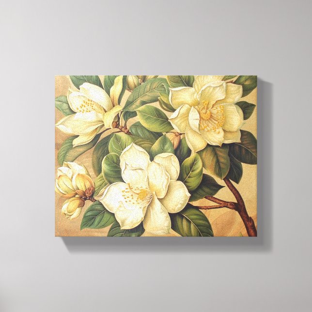 Magnolia Museo Cantonale d'Arte Leinwanddruck (Vorderseite)