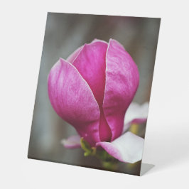 Magnolia Pink Vollblut Sockelschild