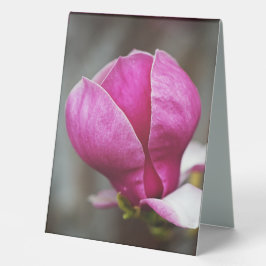 Magnolia Pink Vollblut Tischaufsteller