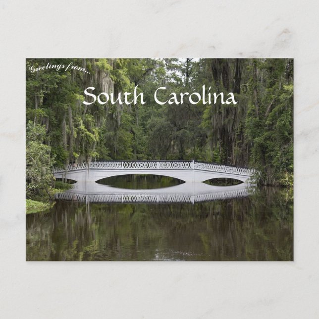 Magnolia Plantation Charleston South Carolina Postkarte (Vorderseite)