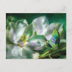 Magnolia Postcard Postkarte