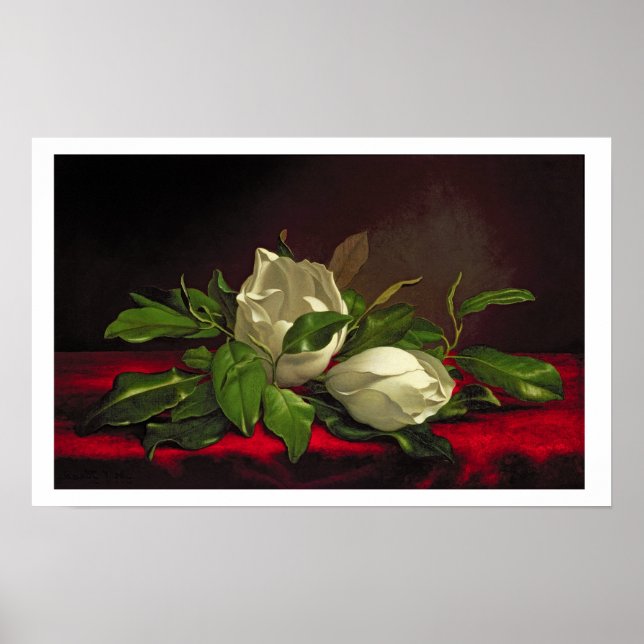 Magnolia Poster (Vorne)