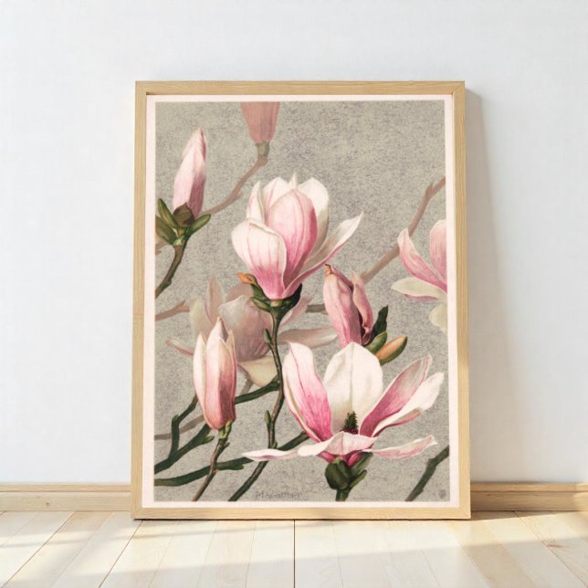 Magnolia Poster (Von Creator hochgeladen)