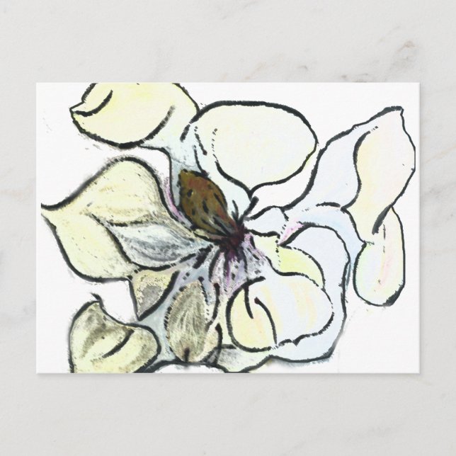 Magnolia Postkarte (Vorderseite)