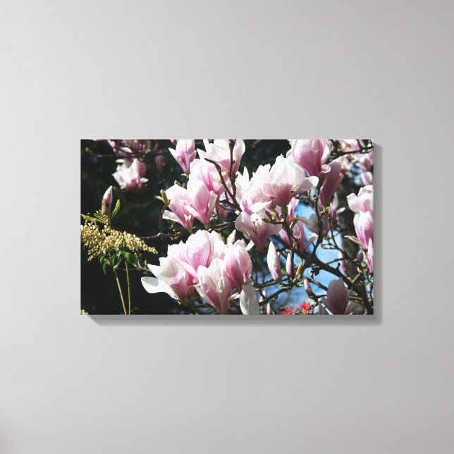 Magnolia Printemps Floral Photographie Toile 6 (Recto)