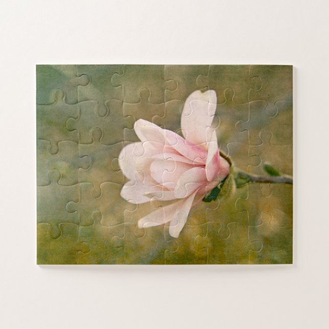 Magnolia Queen (Horizontal)