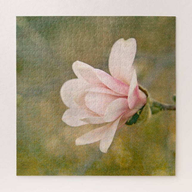 Magnolia Queen (Vertikal)