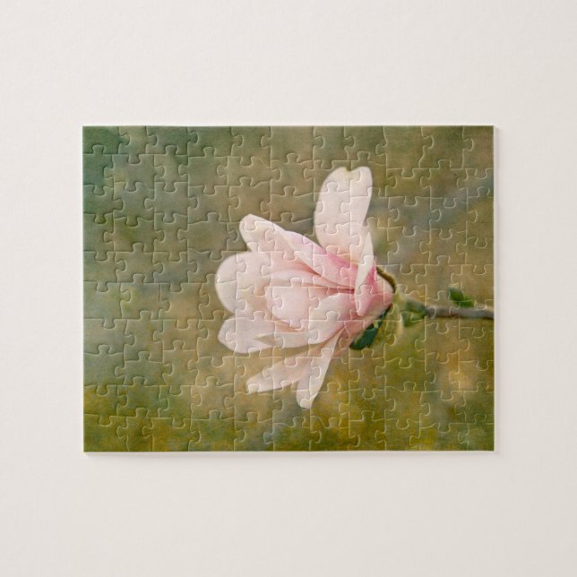 Magnolia Queen (Horizontal)