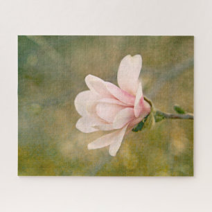 Magnolia Queen