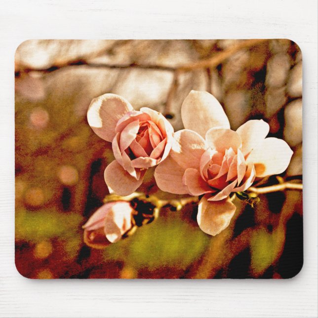 Magnolia-Stimmung in Rosa Mousepad (Vorne)