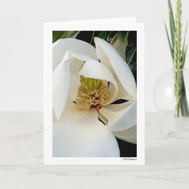Magnolia Swirl Karte (Vorderseite)
