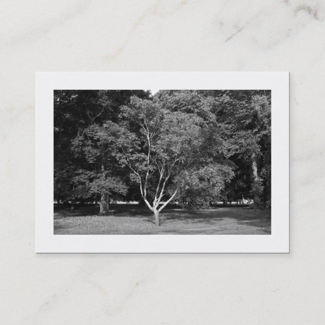 Magnolia Tree BW (Grenze) Visitenkarte (Vorderseite)