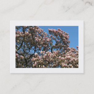 Magnolia Trees in Blossom (grenzt) Visitenkarte