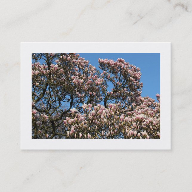 Magnolia Trees in Blossom (grenzt) Visitenkarte (Vorderseite)