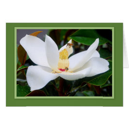Magnolia und Honeybees Green Frame Card
