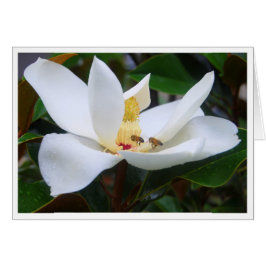 Magnolia und Honeybees-Karte