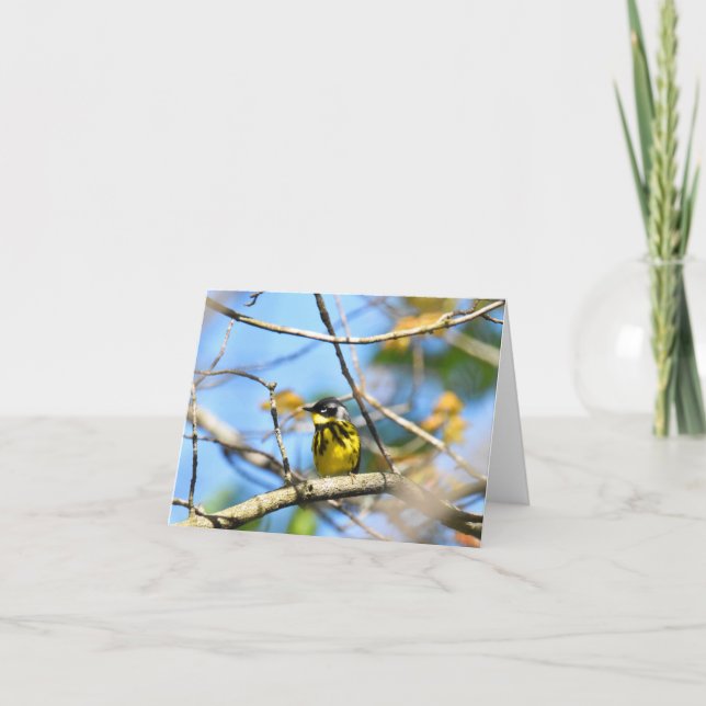 Magnolia Warbler - Blank Note Card Dankeskarte (Vorderseite)