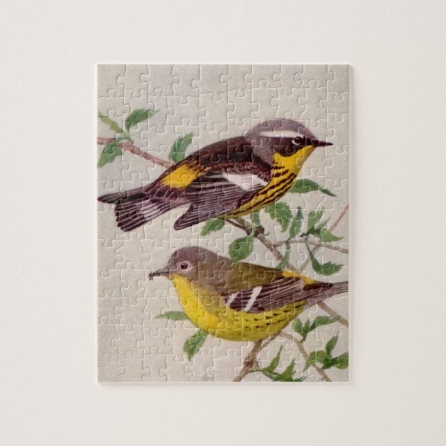 Magnolia Warbler Malerei von Louis Agassiz Fuentes (Vertikal)