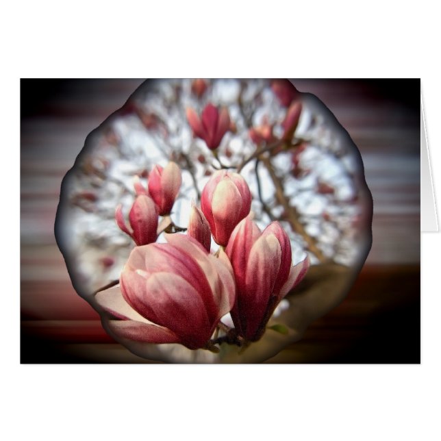 Magnolia Wood (Vorderseite (Horizontal))