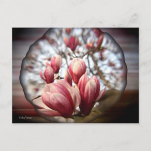 Magnolia Wood Postkarte