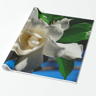 Magnolia-Wrapping-Papier - Vollansicht Geschenkpapier
