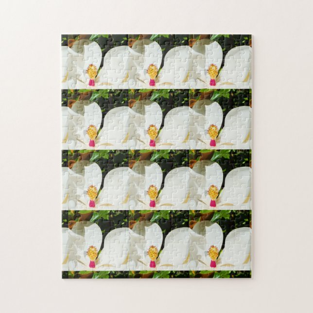 Magnolias (Vertikal)