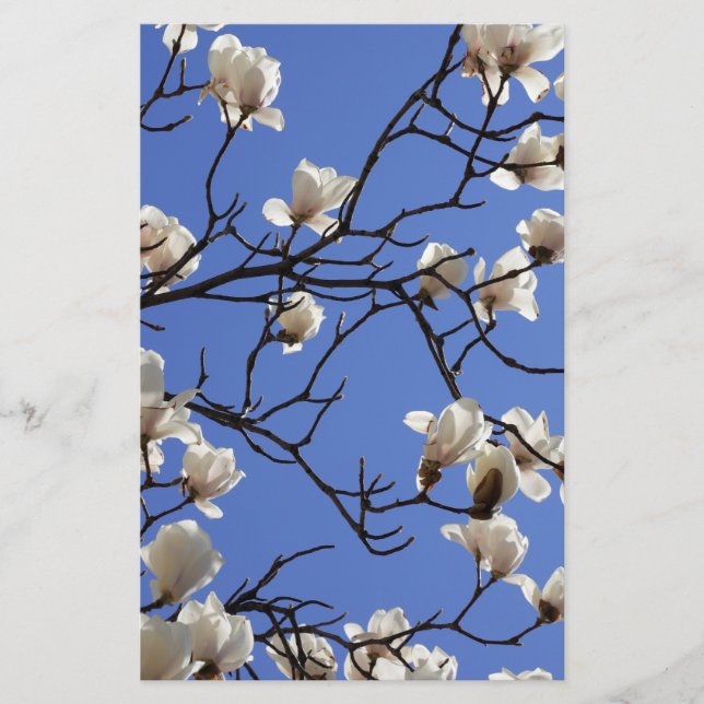 Magnolias blühen briefpapier (Vorderseite)