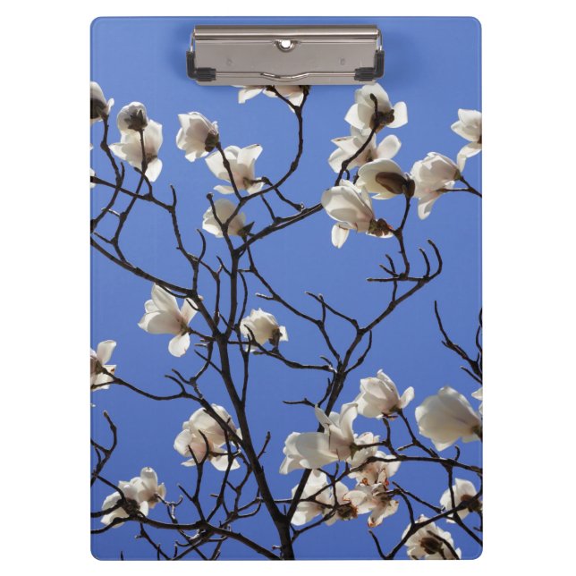 Magnolias blühen klemmbrett (Vorderseite)