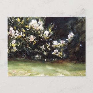 Magnolias von John Singer Sargent Postkarte
