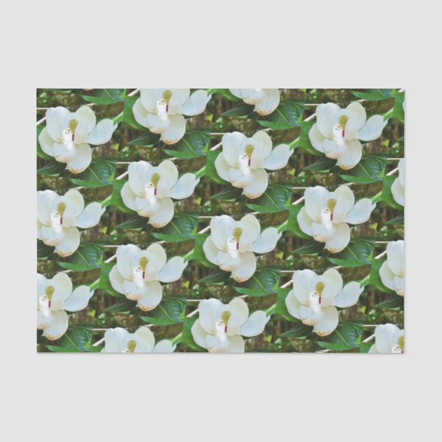 Magnolie blüht Seidenpapier (Vorderseite)