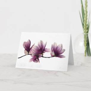 Magnolie Blüten gefaltete Sympathie Karte