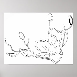 Magnolie Botanische Strichzeichnung Poster