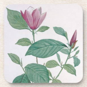 Magnolie entfärben, graviert durch Legrand (die Untersetzer