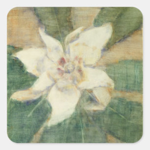 Magnolie Grandiflora Quadratischer Aufkleber