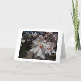 Magnolie Karte