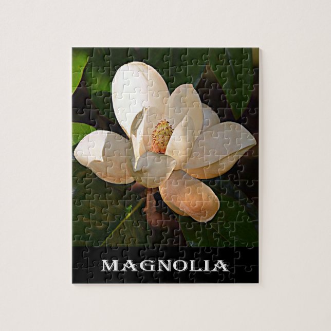 Magnolie (Mississippi und Louisiana) (Vertikal)