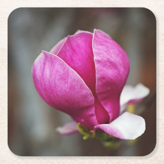 Magnolie Rosa Vollblüte Rechteckiger Pappuntersetzer