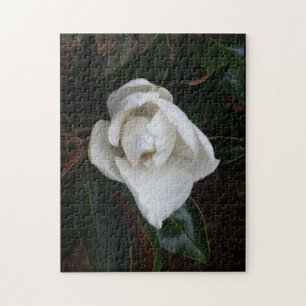Magnolien 1