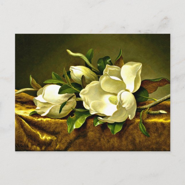 Magnolien auf Gold Samtstoff, Kunstmalerei Postkarte (Vorderseite)
